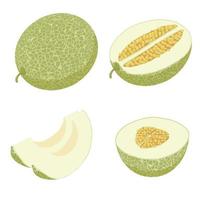 Melon icons set, isometric style vector