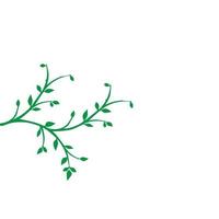 Vector branch , Hand drawn illustration of tree branch design template