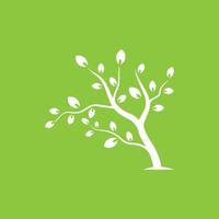 Vector branch , Hand drawn illustration of tree branch design template