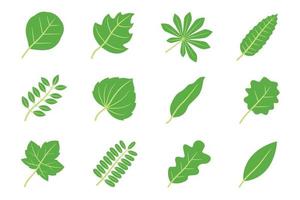 Collection of green leaves flat icon vector, nature concept vector illustration isolated on white background.