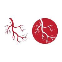 human veins, red blood vessels design and arteries Vector illustration isolated