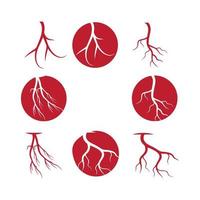 venas humanas, diseño de vasos sanguíneos rojos e ilustraciones vectoriales de arterias aisladas vector