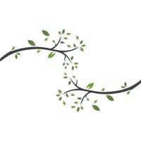 Vector branch , Hand drawn illustration of tree branch design template