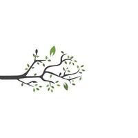 Vector branch , Hand drawn illustration of tree branch design template