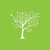 Vector branch , Hand drawn illustration of tree branch design template