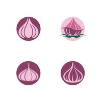 Garlic vector icon illustration design template