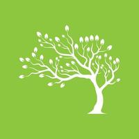 Vector branch , Hand drawn illustration of tree branch design template