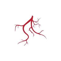 human veins, red blood vessels design and arteries Vector illustration isolated