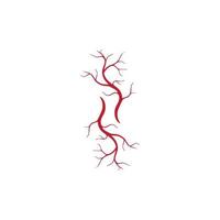 human veins, red blood vessels design and arteries Vector illustration isolated