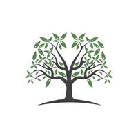 Tree Vector ,hand drawn,  illustration of  Olive tree vector design template