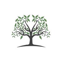 Tree Vector ,hand drawn,  illustration of  Olive tree vector design template