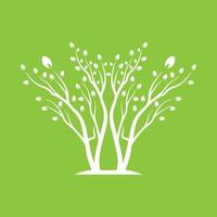 Vector branch , Hand drawn illustration of tree branch design template