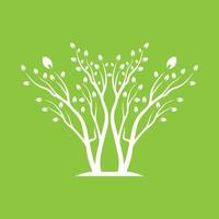 Vector branch , Hand drawn illustration of tree branch design template