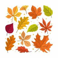 Fall Autumn Leaves Icon Creative Layout vector