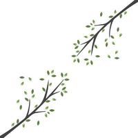 Vector branch , Hand drawn illustration of tree branch design template