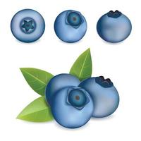 Bilberry icons set, realistic style vector