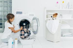 Busy child does laundry work, empties washing machine, cleaned clothes in basin uses detergents, little pedigree dog in basket. Modern household device at home. Female kid helps with family chores photo