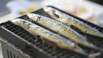 Saury grilled with a net video