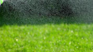 Woman watering the lawn manual garden sprinkler video