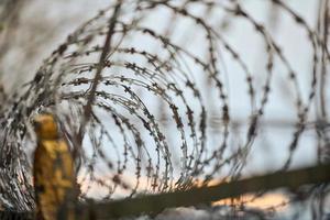 Barbed wire on fence of restricted area photo