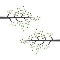 Vector branch , Hand drawn illustration of tree branch design template