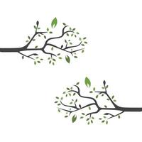 Vector branch , Hand drawn illustration of tree branch design template