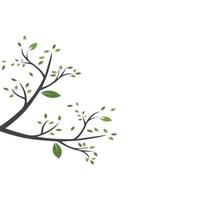 Vector branch , Hand drawn illustration of tree branch design template