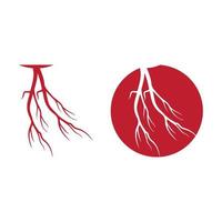 human veins, red blood vessels design and arteries Vector illustration isolated