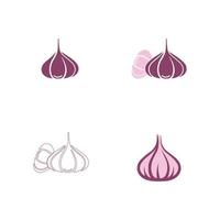 Garlic vector icon illustration design template