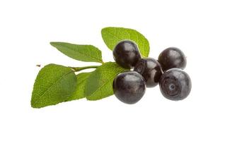 Blueberry isolated on white background photo