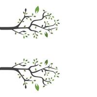 Vector branch , Hand drawn illustration of tree branch design template