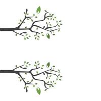 Vector branch , Hand drawn illustration of tree branch design template