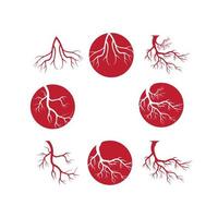human veins, red blood vessels design and arteries Vector illustration isolated