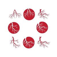 venas humanas, diseño de vasos sanguíneos rojos e ilustraciones vectoriales de arterias aisladas vector