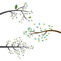 Vector branch , Hand drawn illustration of tree branch design template