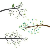 Vector branch , Hand drawn illustration of tree branch design template