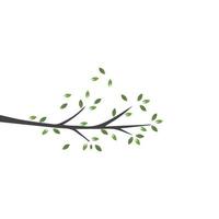 Vector branch , Hand drawn illustration of tree branch design template