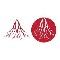 human veins, red blood vessels design and arteries Vector illustration isolated