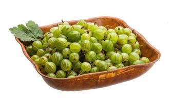 Gooseberry isolated on white background photo