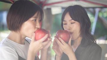 una mujer mordiendo una manzana video