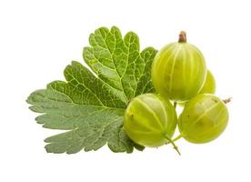 Gooseberries isolated on white background photo