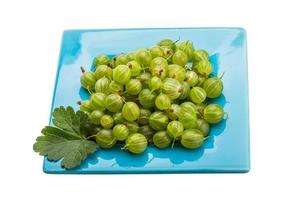 Gooseberries  isolated on white background photo