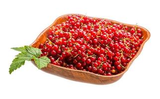 Red currant isolated on white background photo