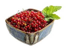 Red currant isolated on white background photo