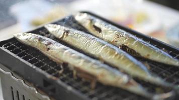 Saury grilled with a net video
