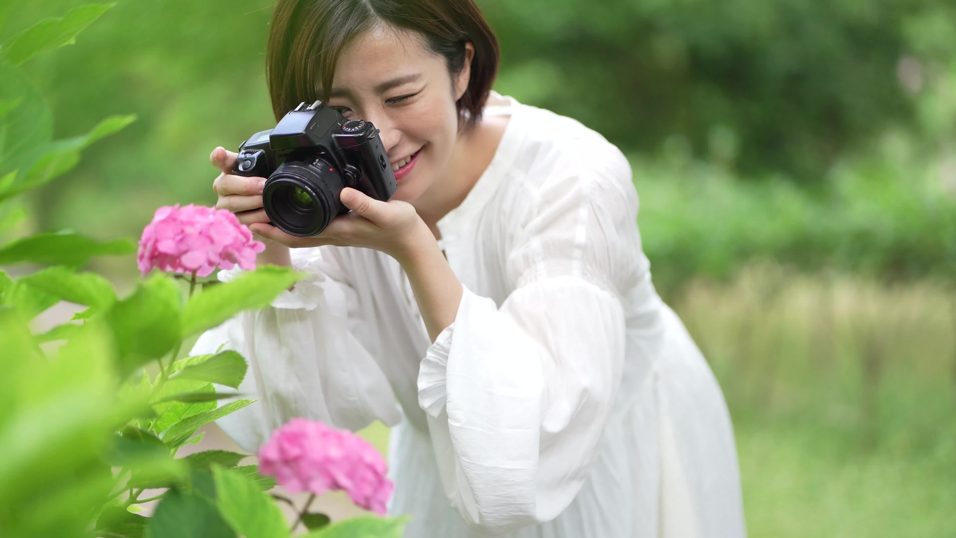 Woman shooting hydrangea 8871961 Stock Video at Vecteezy