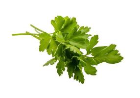 Parsley isolated on white background photo