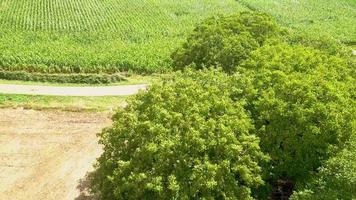 Aerial view of the prehistoric Necropolis of the Cous video