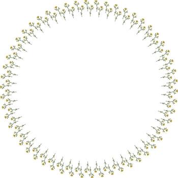 Round frame with buttercups on white background. Isolated frame with flowers for your design. vector