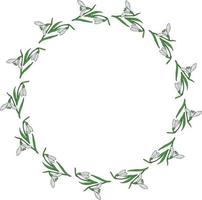 Round frame of drawing snowdrops. Wreath with isolated flowers on white background for your design. vector
